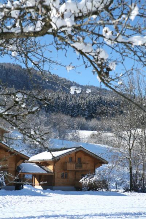 Гостиница Résidence Néméa Les Chalets du Bois de Champelle, Мориллон